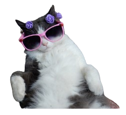 Verano fresquito para tu perro y tu gato
