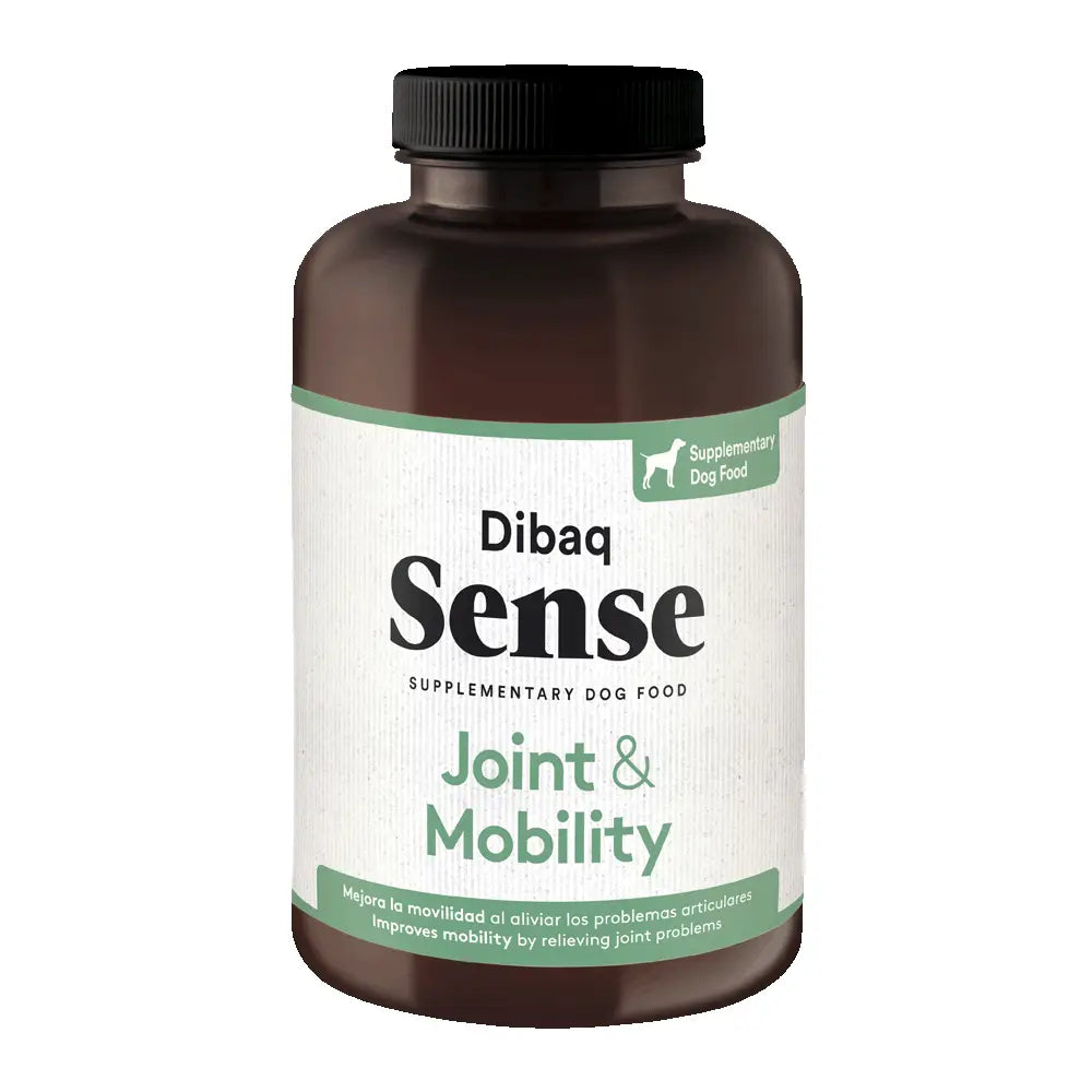 Suplement Juntes & Mobilitat