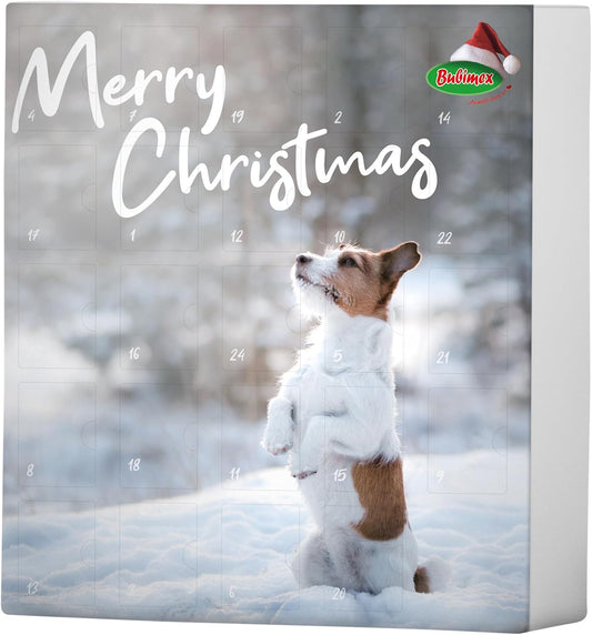 Calendario de Adviento con snacks para tu perro 🎄
