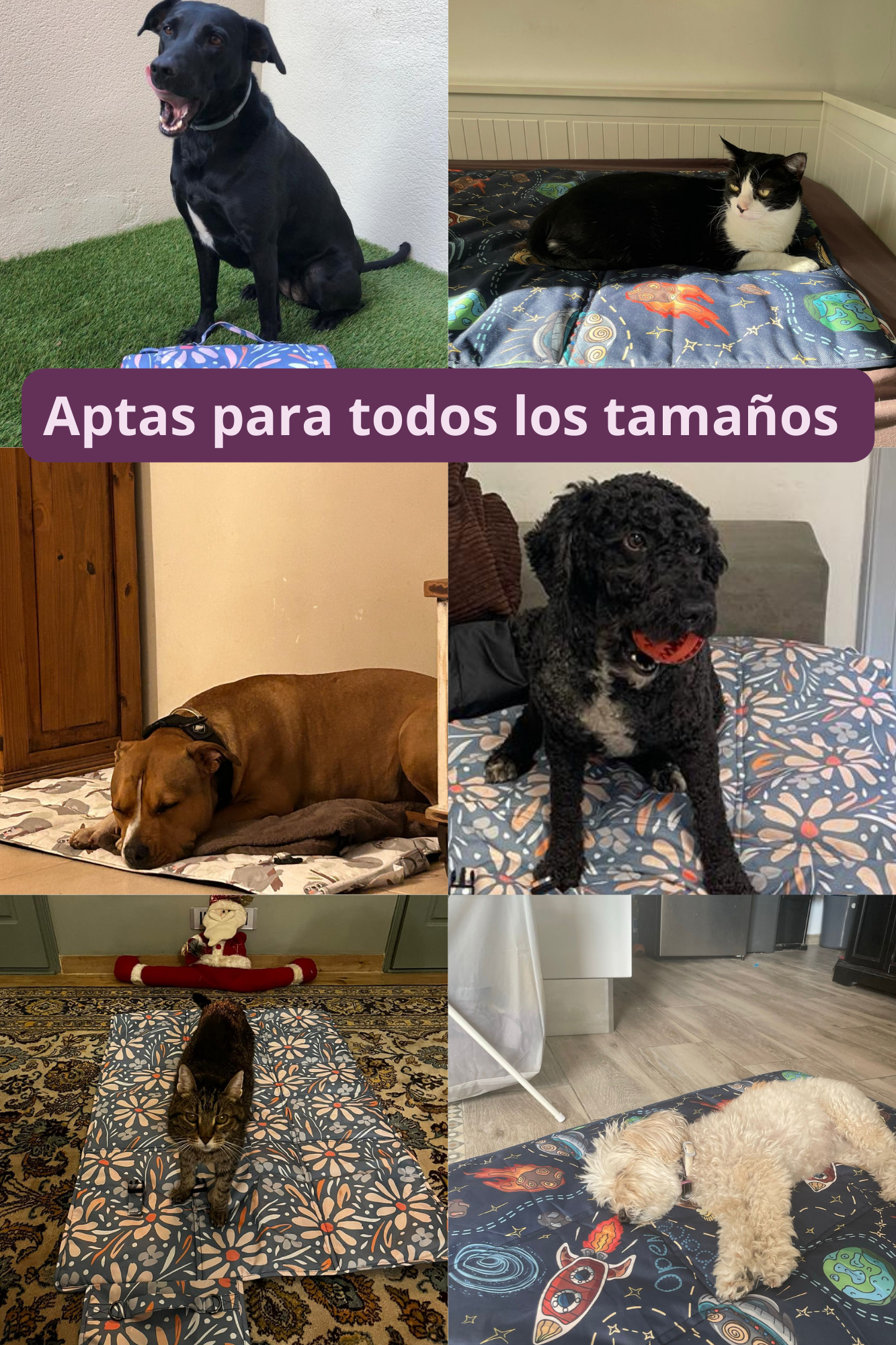 Blanket 70x100 Space