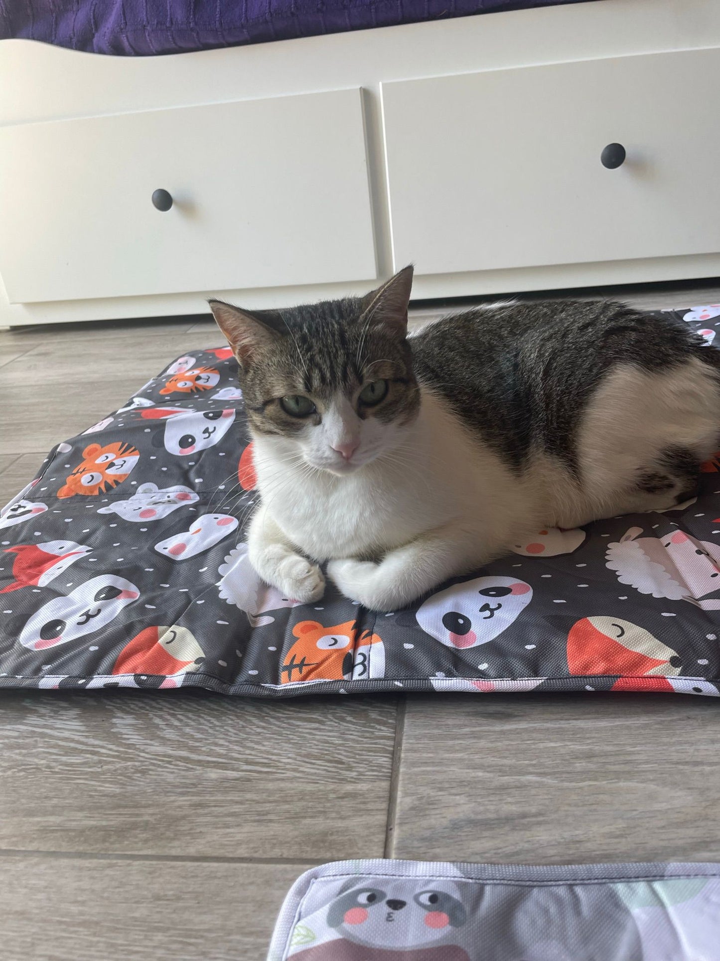 Blanket 70x100 Animals