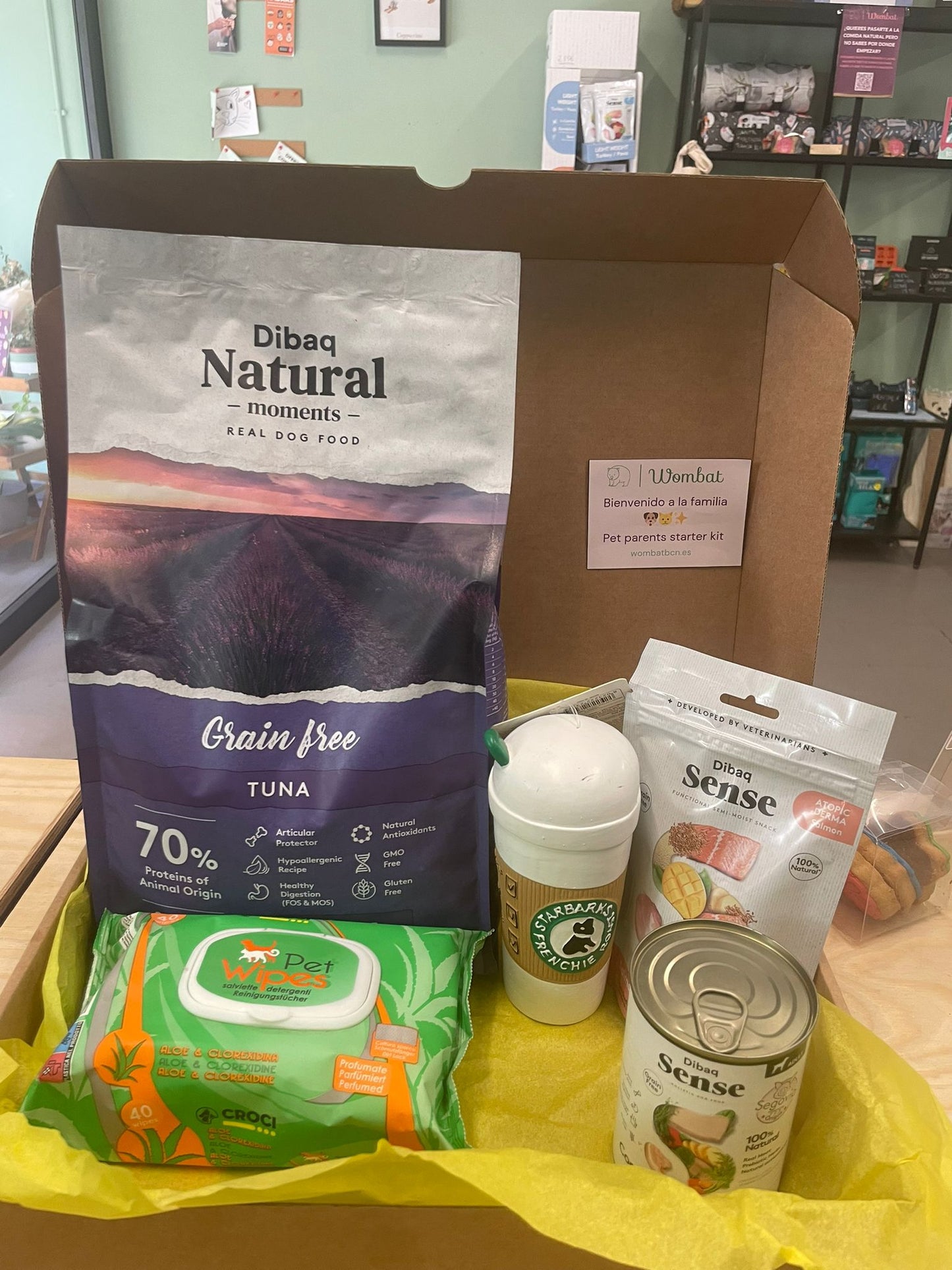 Kit welcome to the SMALL DOG family