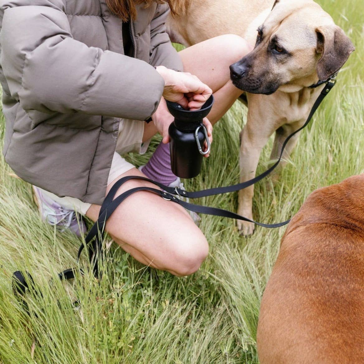 Botella de agua de viaje para perros