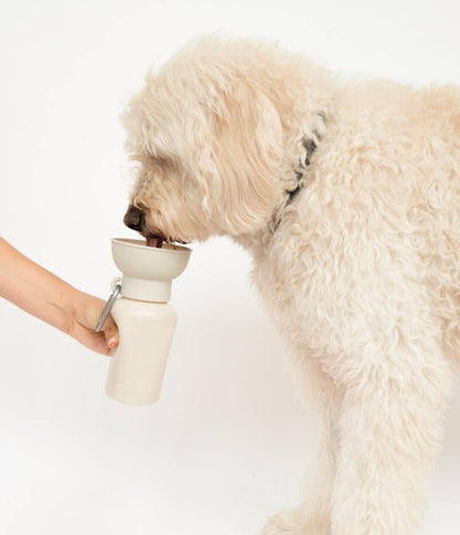 Botella de agua de viaje para perros