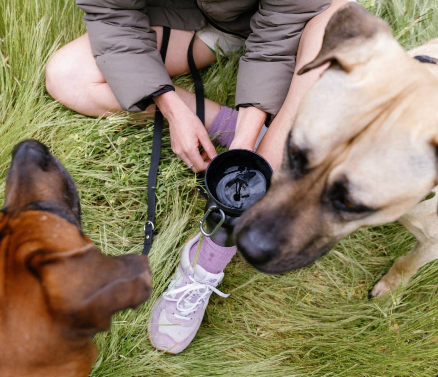 Botella de agua de viaje para perros