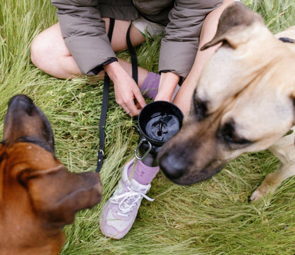 Dog Travel Water Bottle