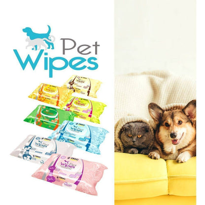 Wet wipes for dogs and cats - Aloe and chlorhexidine