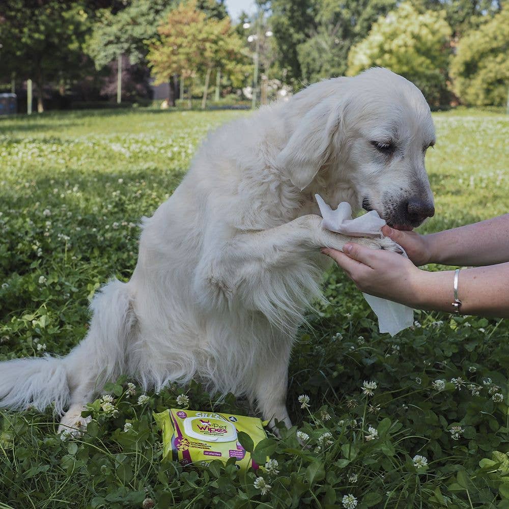 Wet wipes for dogs and cats - Aloe and chlorhexidine