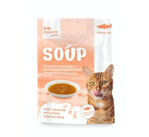 Sopa de salmón para la hidratación de tu gato