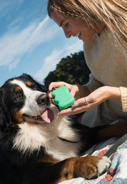 Bolsa dispensadora de golosinas de silicona para perros