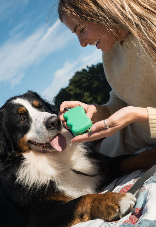 Silicone Dog Treat Dispenser Bag